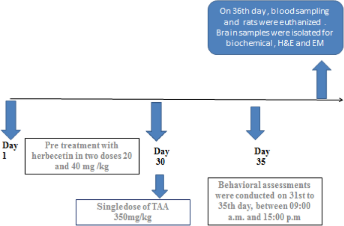 nad and glutathione iv therapy NAD vs Glutathione: Key Differences and Benefits Explained