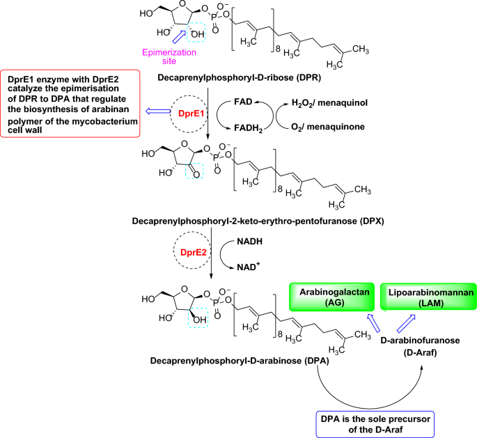 identification-of-dpre1-inhibitors-for-tuberculosis-through-integrated-in-silico-approaches-scientific-reports