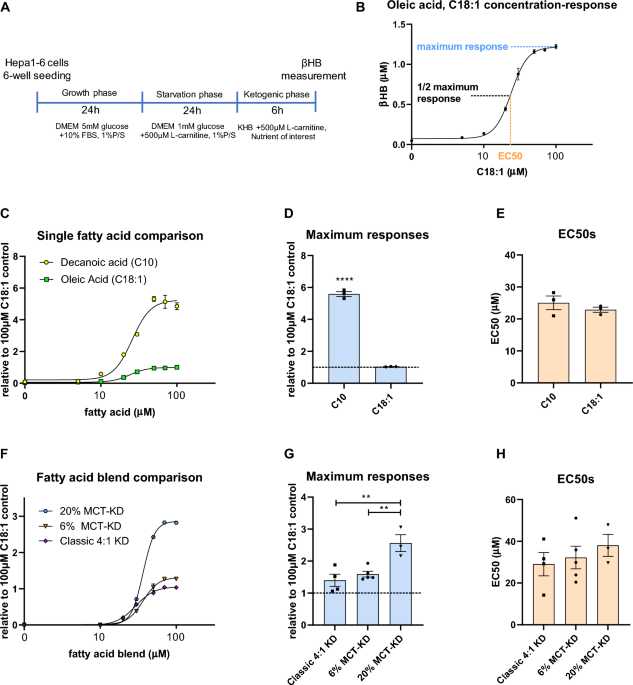 muscle pain statins taurine l-carnitine Statin-Induced Myopathy: Translational Studies from Preclinical to Clinical  Evidence