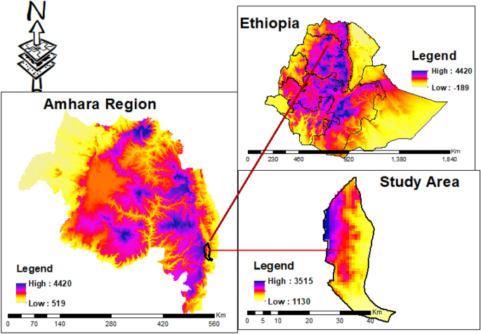 Tomato yield, and water use efficiency as affected by nitrogen rate and irrigation regime in the central low lands of ethiopia