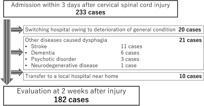 Spine Injury