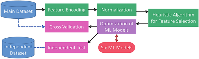 Improved prediction of anti-angiogenic peptides based on machine learning models and comprehensive features from peptide sequences