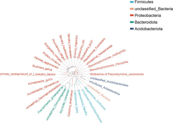 Bacterial communities varied in different Coccinella transversoguttata populations located in Tibeta