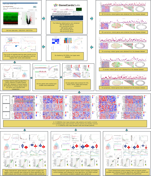 Identification of sex-specific biomarkers related to programmed cell death and analysis of ...