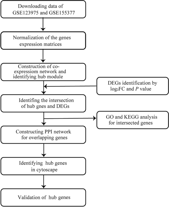 Identification of hub genes associated with diabetic cardiomyopathy ...