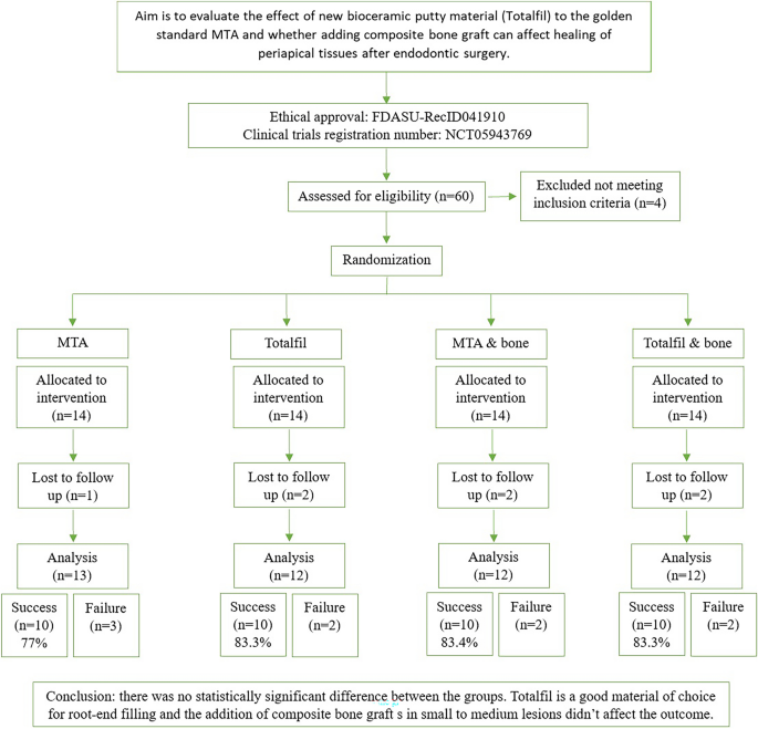 The impact of root end filling material type and the application 