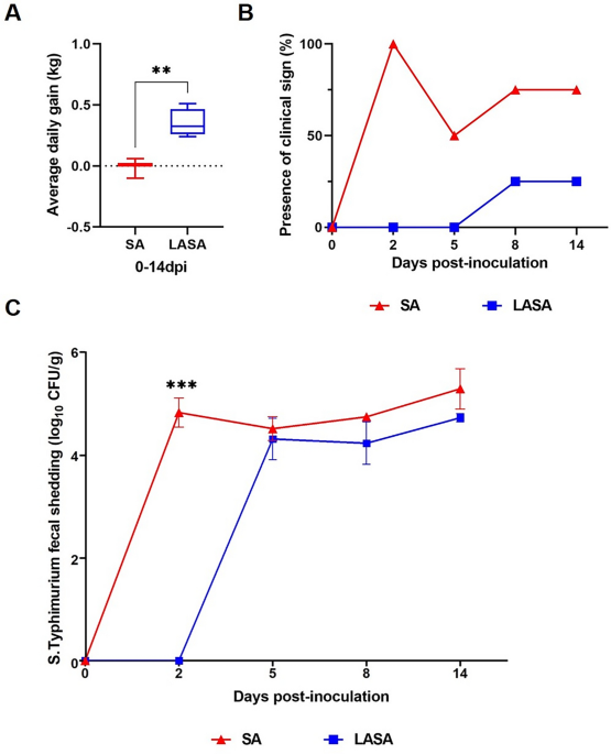 Lactiplantibacillus Argentoratensis AGMB00912 Alleviates Salmonellosis ...