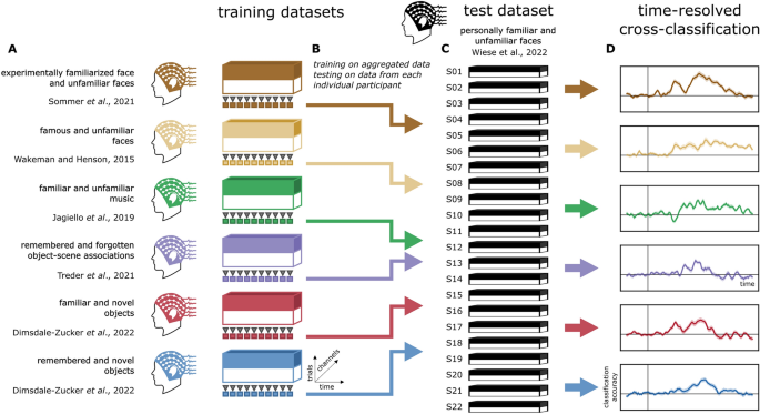 Shared neural codes of recognition memory | Scientific Reports
