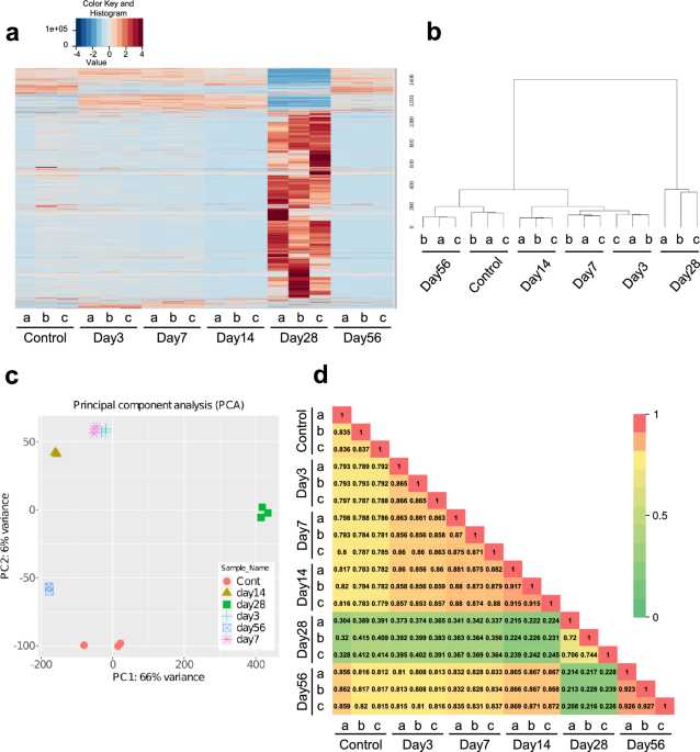 Time-course study of genetic changes in periodontal ligament ... image.