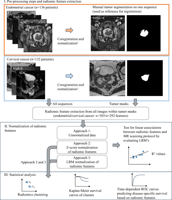 Impact of MRI radiomic feature normalization for prognostic modelling ...