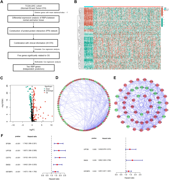 Epigenetically associated IGF2BP3 upregulation promotes cell ... image.