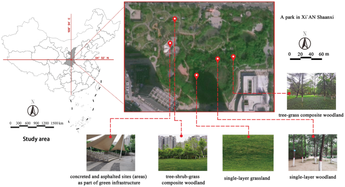 Impact of seasonal changes in urban green spaces with diverse 