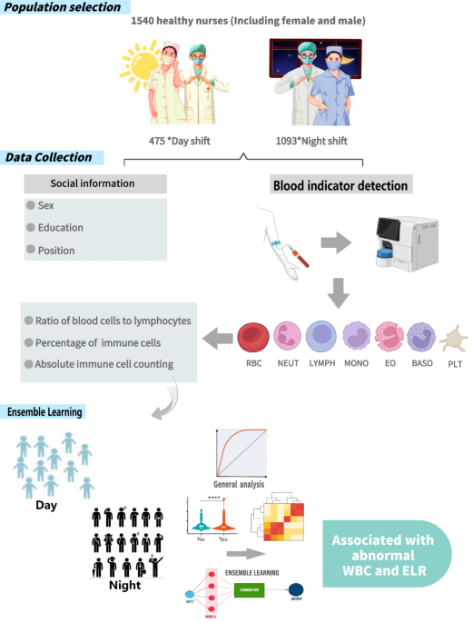 Circulating white blood cell traits and prolonged night shifts: a cross-sectional study based on nurses in Guangxi Circulating white blood cell traits and prolonged night shifts: a cross-sectional study based on nurses in Guangxi