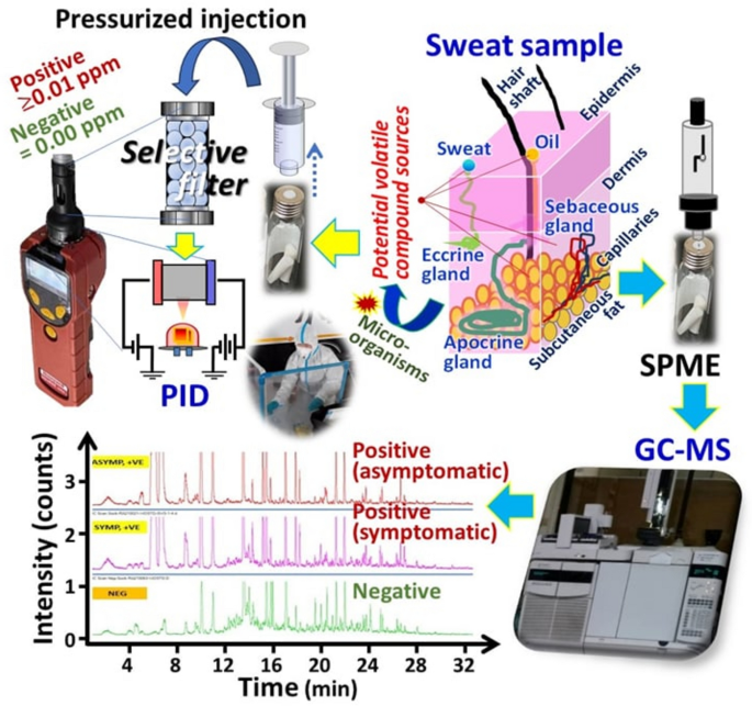 A large scale study of portable sweat test sensor for accurate, non ...