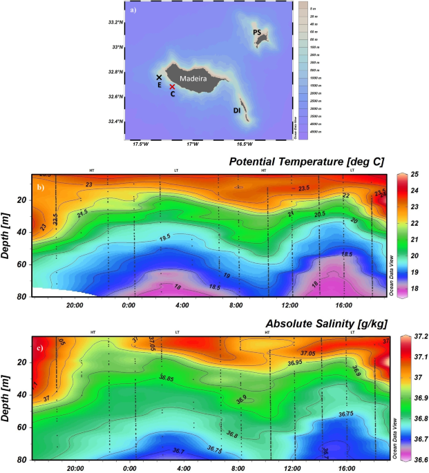 Impact of sampling depth on co $$_{2}$$ flux estimates