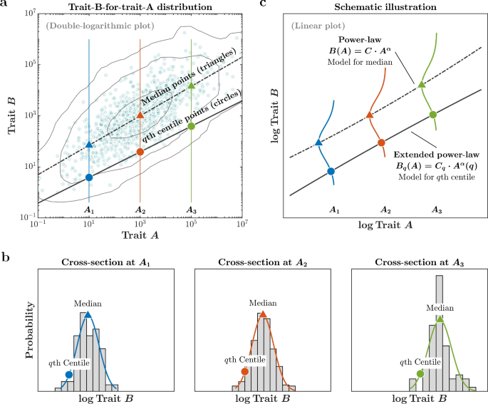 Multi-scaling allometry in human development, mammalian morphology, and tree growth