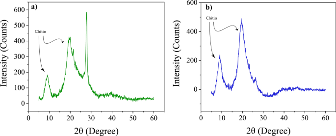 Exploring the structure and dynamics of soft and hard cuticle of Bombyx mori using solid-state NMR techniques - Scientific Reports