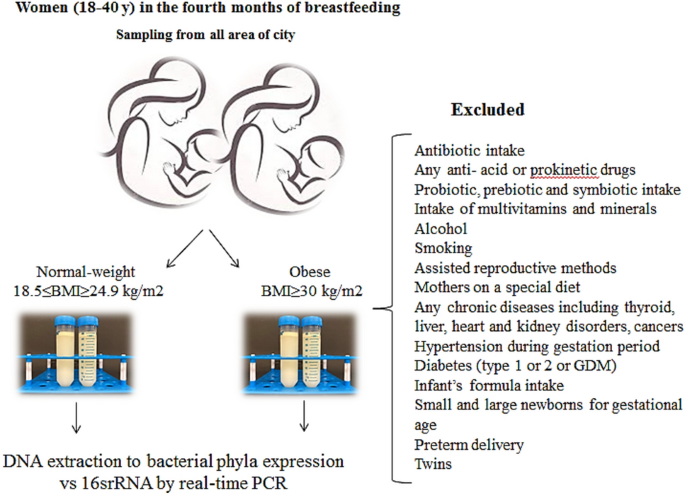 Breast milk dominant phyla and probiotic bacteria in the obese 