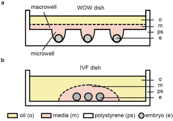 A rapid and low-cost method to fabricate well of the well (wow) dishes with arbitrary 3d microwell shapes for improved embryo culture