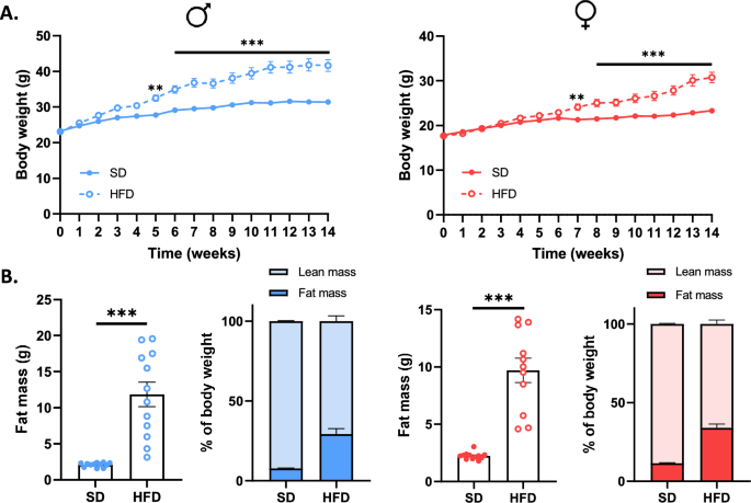 Sex-dependent effects of a high fat diet on metabolic disorders ...