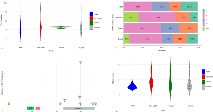 A real world analysis of secondary BRAF variations after targeted ...