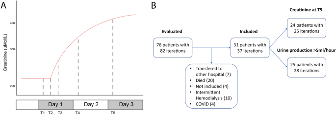 Estimation of renal function immediately after cessation of continuous renal replacement therapy at the ICU