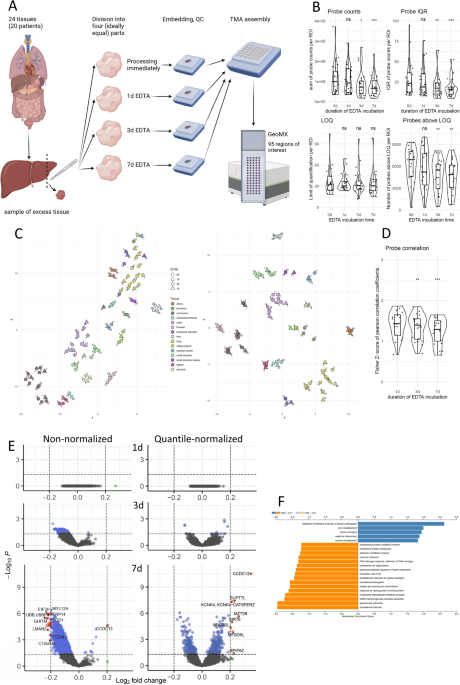 Full-length target sequences of GeoMx digital spatial profiling probes ...