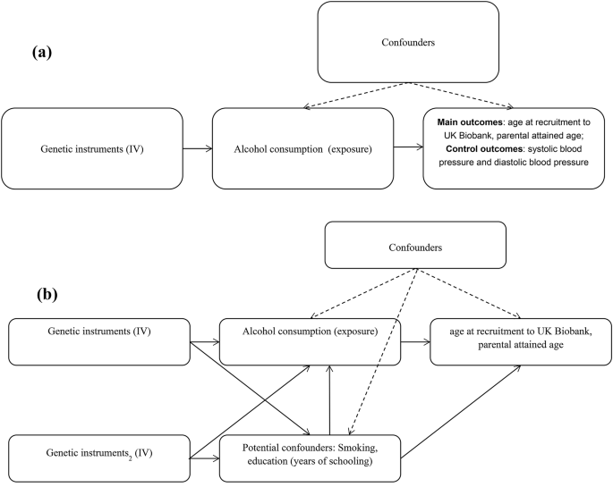 Impact of Alcohol Consumption on Lifespan: a Mendelian 