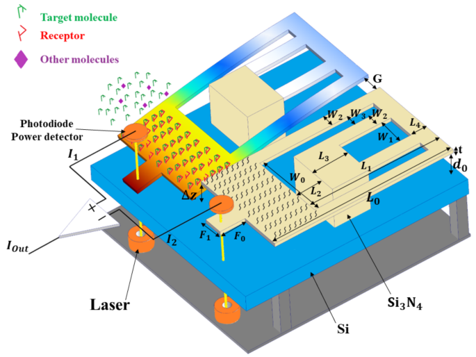 Folded flexure MOEMS for the detection of PSA and hepatitis DNA as ...