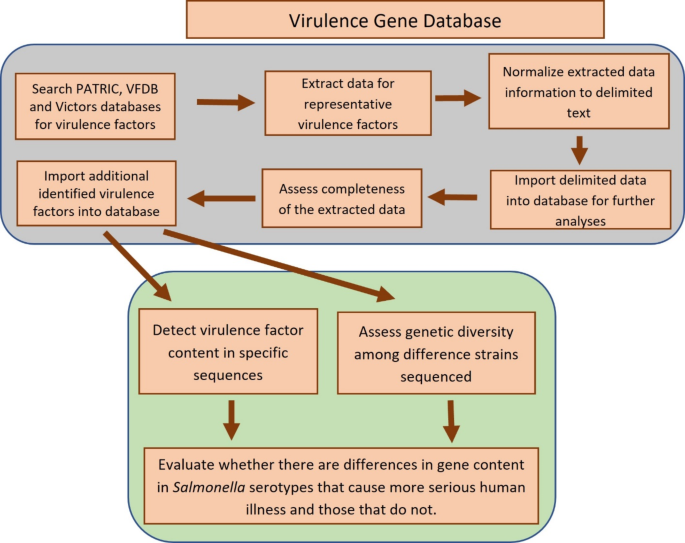 Salmonella enterica virulence databases and bioinformatic analysis ...