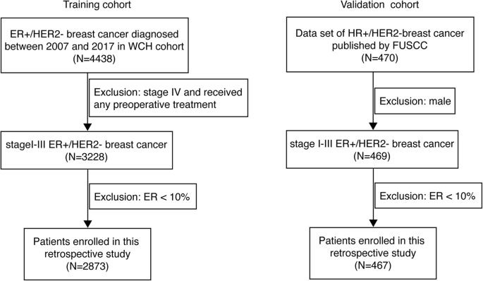 Prognostic significance of ER-to-PR difference in ER+/HER2- early ...