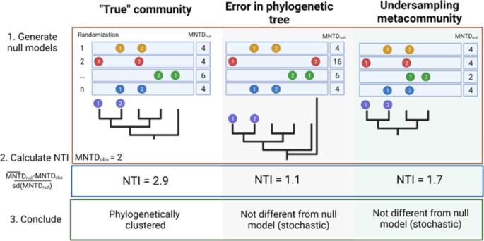 An exploration of the impact of phylogenetic tree structure on NTI and ...