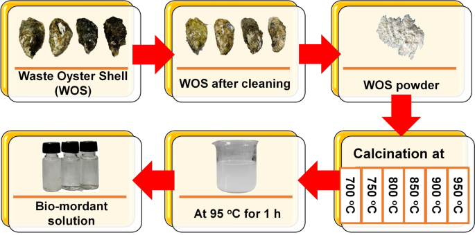 Silver Shell Wos Investigating the potential of waste oyster shell as a sustainable bio ...