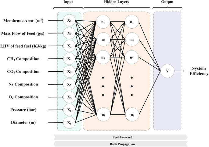 Pioneering Low-Carbon Hydrogen Production Through Biogas Steam Reforming