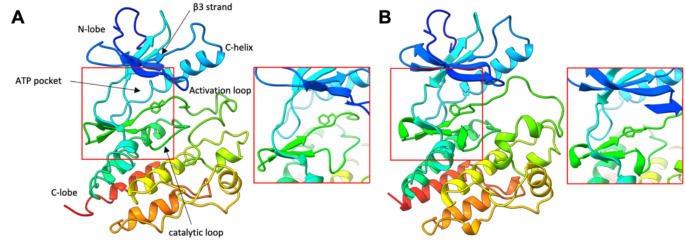 Improving docking and virtual screening performance using AlphaFold2 ...