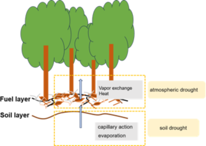 Assessment of the suitability of drought descriptions for wildfires under various humid temperate climates in japan