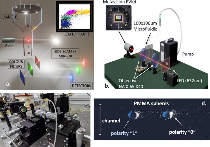 Photonic neuromorphic accelerators for event-based imaging flow 