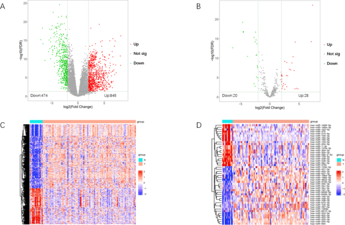 Novel miRNA markers and their mechanism of esophageal squamous cell ...