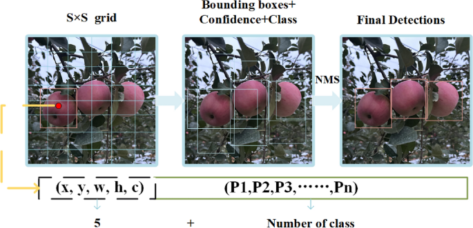 FRUiTS No.156 u0026 No.157 セット Fruit Crops | ScienceDirect