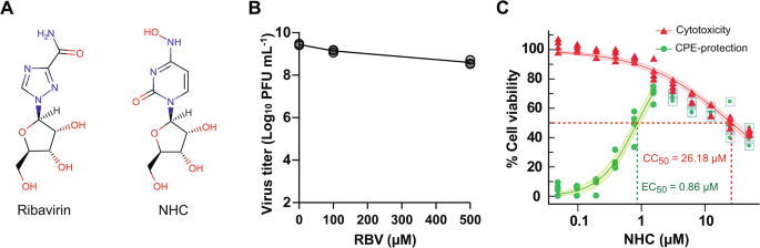 Genetic and phenotypic changes to venezuelan equine encephalitis virus following treatment with β-d-n4-hydroxycytidine, an rna mutagen