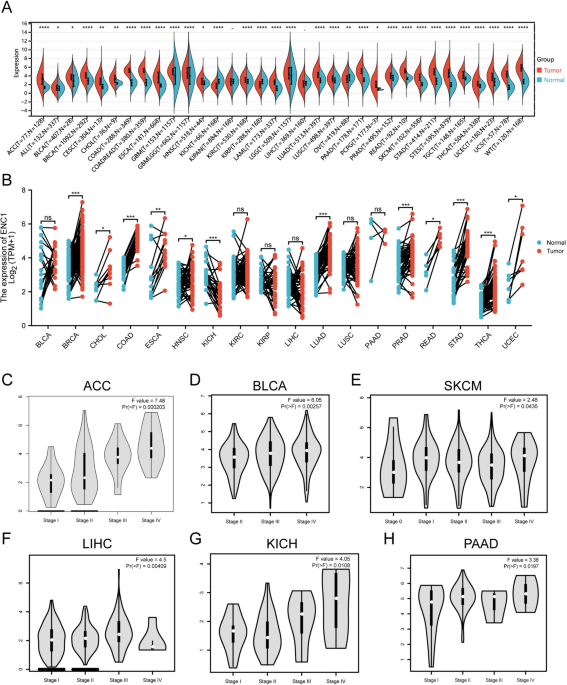  Innovation Waves [14] | Download Scientific Diagram