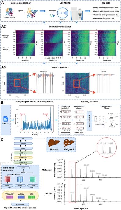A deep learning framework for hepatocellular carcinoma diagnosis using ...