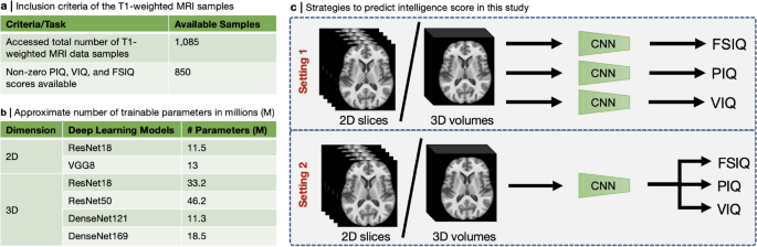 Deep learning of structural MRI predicts fluid, crystallized, and ...