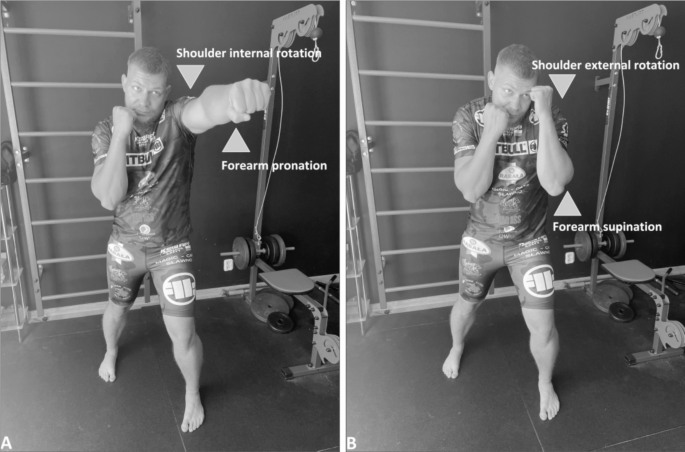 Adaptive Changes in Humeral Retroversion in Striking Martial Arts Athletes: Insights and Implications