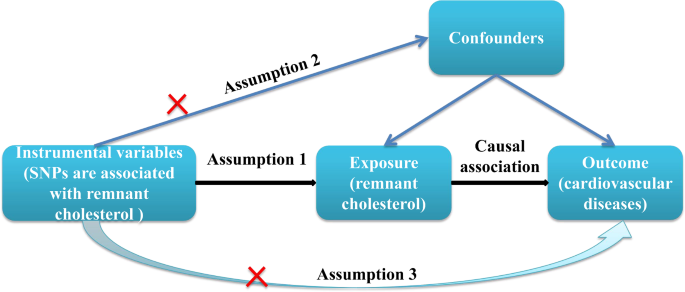 Causal association between remnant cholesterol level and risk of ...