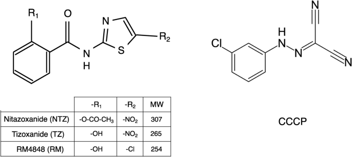 Nitazoxanide controls virus viability through its impact on membrane bioenergetics