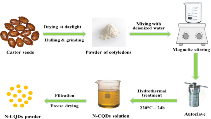 Green synthesis of fluorescent N-doped carbon quantum dots from castor ...