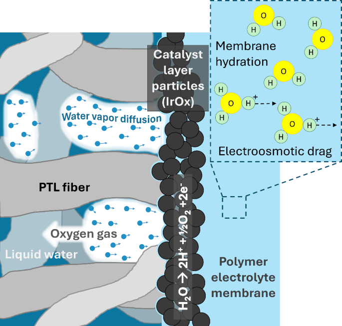 Advancements in Vapor-Fed PEM Electrolyzers for Efficient Hydrogen Production