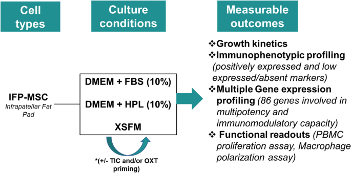 The roles of regulatory-compliant media and inflammatory/oxytocin 