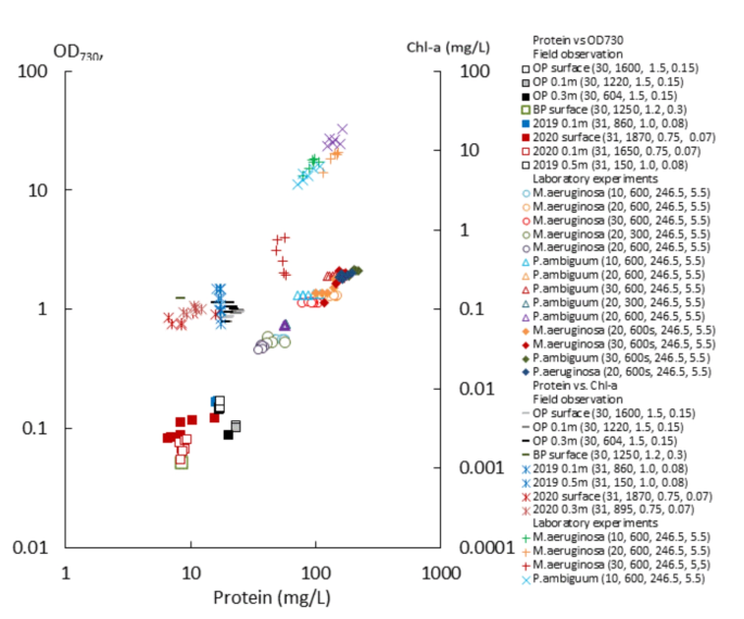 Harnessing Hydrogen Peroxide to Control Cyanobacteria Blooms in Natural Water Bodies
